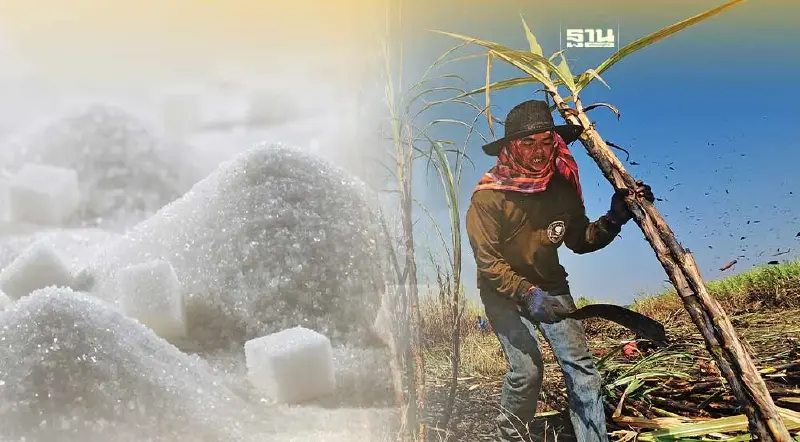 พรบ.อ้อยและน้ำตาล จะมีไว้เพื่ออะไร