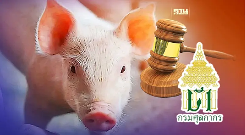 ศุลกากรรับลูก “เศรษฐา” เข้มตรวจหมูเถื่อน พร้อมลงโทษสูงสุด ศุลกากรรับลูก “เศรษฐา” เข้มตรวจหมูเถื่อน พร้อมลงโทษสูงสุด