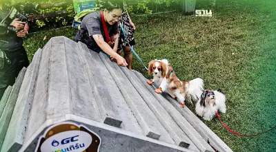 กทม.-GC ผุดเครื่องเล่นอัพไซเคิลจากพลาสติกใช้แล้วมุ่ง "Zero Waste"