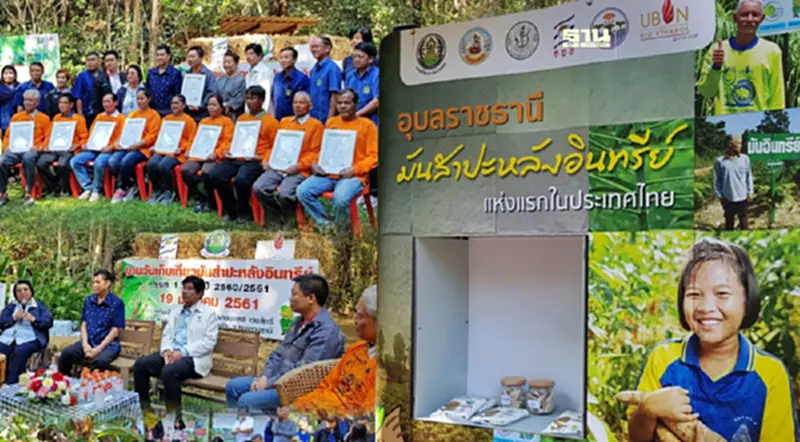 กรมวิชาการเกษตร หนุน “พืชไร่” สู่เกษตรอินทรีย์ สร้างความยั่งยืน กรมวิชาการเกษตร หนุน “พืชไร่” สู่เกษตรอินทรีย์ สร้างความยั่งยืน