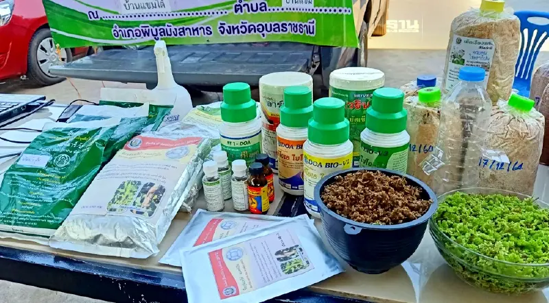 รู้จัก “ชีวภัณฑ์” ควบคุมโรค-แมลง ใช้อย่างไรให้ได้ผล