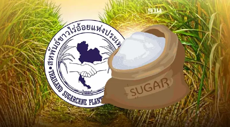 สหพันธ์ไร่อ้อย เดือด ขู่ปิดโรงงานน้ำตาล ขอเคลียร์ภูมิธรรม ปมเบรคขึ้นราคา