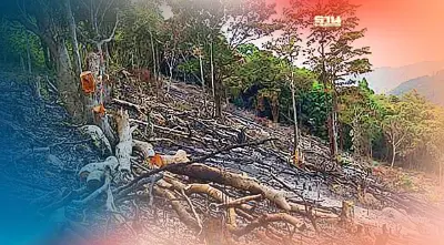 ฝุ่น PM 2.5 จากหมอกควันข้ามแดน เมื่อ “โลกร้อน” ทำให้เกิดไฟบนพื้นที่ป่าพรุ