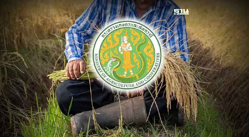 นบข. โยนกระทรวงเกษตรฯ คุม 3 มาตรการสินเชื่อช่วยชาวนา-โรงสี