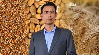 “ธัญพืชนอก”ท่วมตลาด ทุบราคาข้าวโพดดิ่ง แนะรัฐช่วยไร่ละพัน