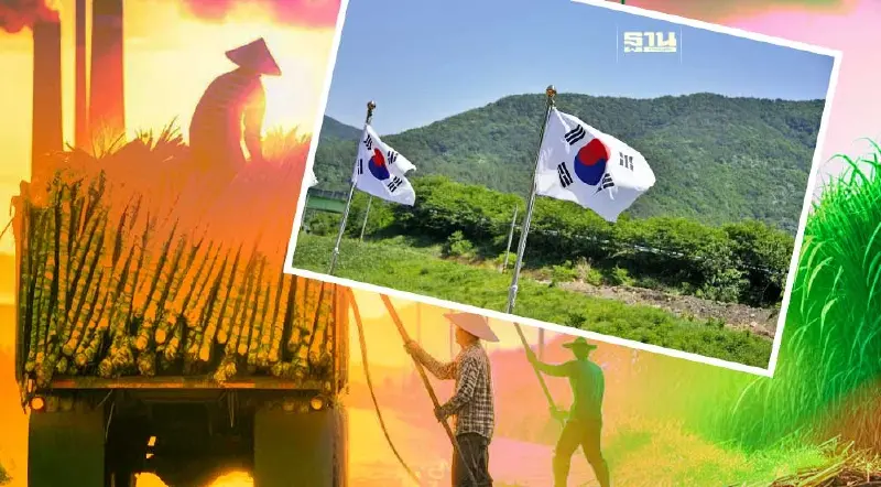 ข่าวดี! แรงงานภาคเกษตร อายุ 25-45 ปี สนใจทำงานเกาหลีใต้ เตรียมตัวให้พร้อม