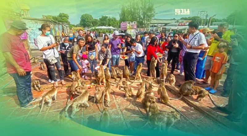 เปิดภาพบรรยากาศ นักท่องเที่ยวไทย-ต่างชาติ แห่ชม"เลี้ยงโต๊ะจีนลิง"