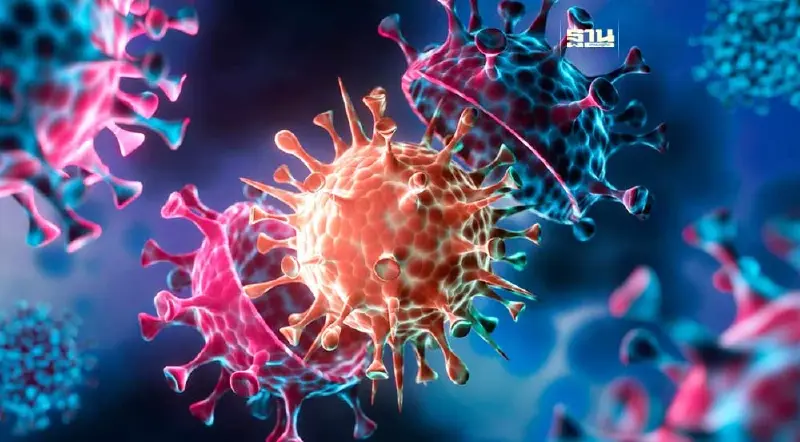 จับตา โอมิครอน JN.1 กำลังระบาดเพิ่มขึ้นในยุโรป-อเมริกาเหนือ