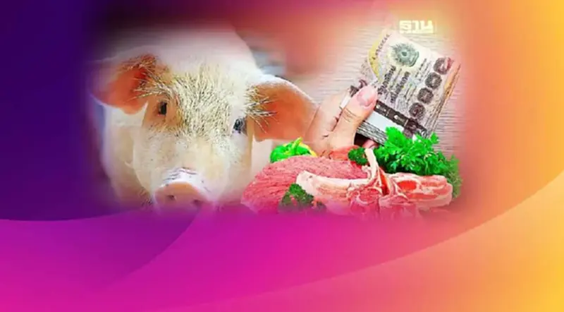 ชำแหละ เครือข่ายหมูเถื่อนโกยรายได้เฉียด 2,000 ล้าน ชำแหละ เครือข่ายหมูเถื่อนโกยรายได้เฉียด 2,000 ล้าน