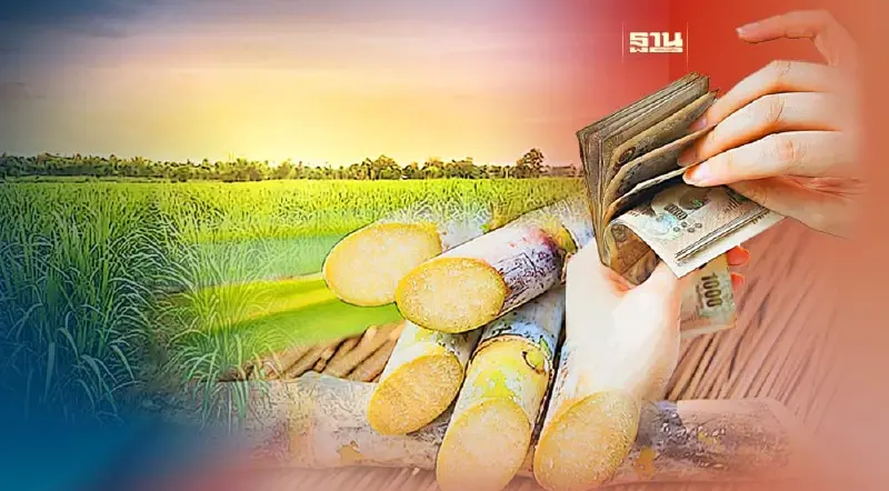 “เงินค่าอ้อยขั้นสุดท้าย" โรงงานไหน จ่ายวันไหน เช็คด่วน !