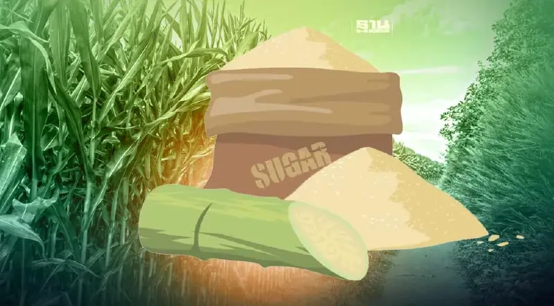 ชาวไร่อ้อยเดือดขู่ปิดโรงงานน้ำตาลทั่วประเทศ 5 พ.ย. หลังถูกแทรกแซง