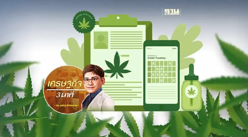 ความรู้เท่าทันก่อนการตัดสินใจใช้กัญชา