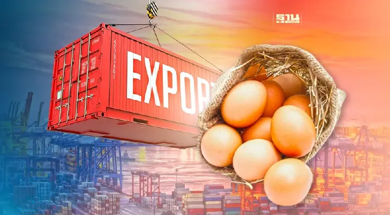 ส่งออกไข่ไก่ปี 66 จ่อทำสถิติสูงสุด ตลาดในป่วน ไข่แปลงสัญชาติดัมพ์ราคา