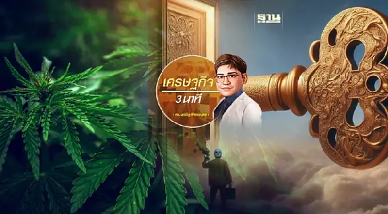 ควรมีกลไกการสร้างเสริมสุขภาพเพื่อคุ้มครองประชาชนจากการปลดล็อก “กัญชา” ควรมีกลไกการสร้างเสริมสุขภาพเพื่อคุ้มครองประชาชนจากการปลดล็อก “กัญชา”