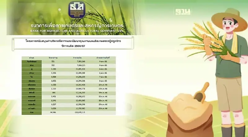 เงินเกษตรกรไร่ละ 1000 ล่าสุด ธ.ก.ส. สาขาราษีไศล กางแผนจ่ายเงินดูเลย