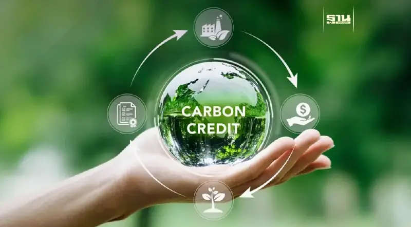 คาร์บอนเครดิตป่าไม้ คืออะไร?