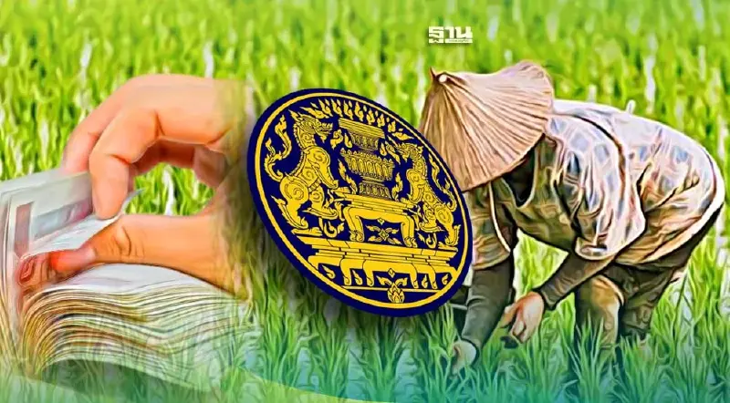 จับตา ครม. ถกพักหนี้สหกรณ์ ลุยปล่อยสินเชื่อช่วยเหลือชาวนา