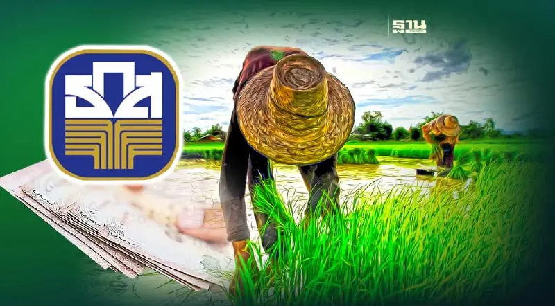 ข่าวดี เงินช่วยเหลือชาวนาไร่ละ 1,000 ชงครม. 1-2 สัปดาห์ เริ่มจ่ายพ.ย.66