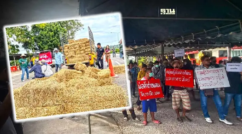 ผู้ประกอบการนำเข้าโค กระบือ ปิดถนนตาก-แม่สอด ร้องกรมปศุสัตว์ทบทวนสั่งชะลอ ผู้ประกอบการนำเข้าโค กระบือ ปิดถนนตาก-แม่สอด ร้องกรมปศุสัตว์ทบทวนสั่งชะลอ