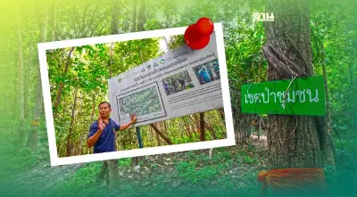 โมเดลคาร์บอนเครดิต ป่าชุมชนแม่โป่ง เล็งขยายทั่วเชียงใหม่ 1.5 แสนไร่