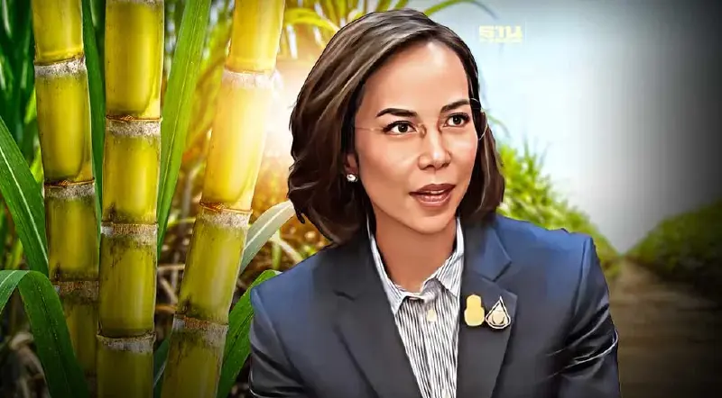 รอไปก่อน “พิมพ์ภัทรา” รับเงินชดเชยตัดอ้อยสด 120 บาท/ตัน ชงครม.ไม่ทัน