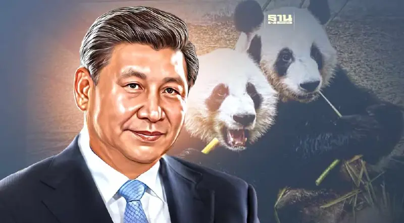 "สี จิ้นผิง" ส่งสัญญาณอาจมอบ "แพนด้า" สัญลักษณ์ทูตมิตรภาพ ให้สหรัฐอีกครั้ง