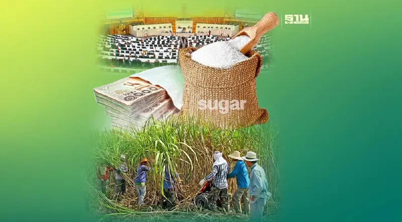 ttb analytics หนุนรัฐ ดึงน้ำตาลทราย กลับมาเป็นสินค้าควบคุม ttb analytics หนุนรัฐ ดึงน้ำตาลทราย กลับมาเป็นสินค้าควบคุม