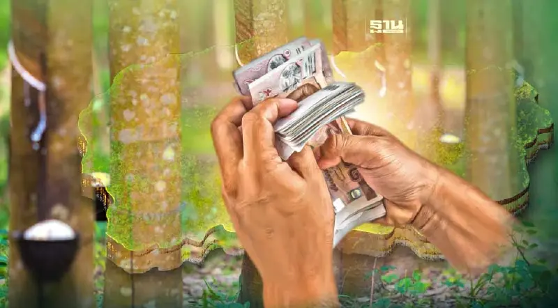 เกษตรฯ ชงคลัง-มหาดไทย ขอลดปลูกยางขั้นตํ่า 25 ต้น/ไร่ ไม่เสียภาษีที่ดิน