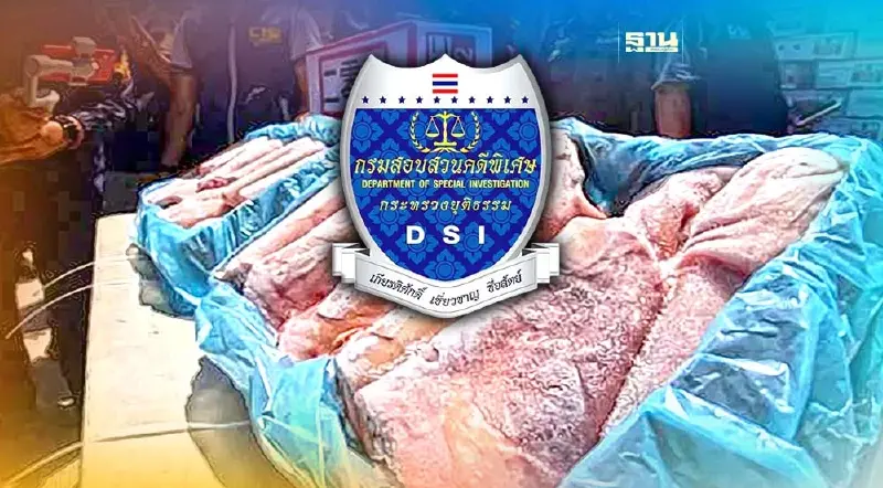 DSI เอาจริง เร่งหาหลักฐานฟัน ขรก.ระดับสูง - ขรก.การเมือง รับเคลียร์หมูเถื่อน