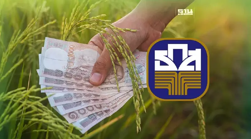 เงินช่วยเหลือเกษตรกร 66 67 ล่าสุด ธ.ก.ส.โอนเงินไร่ละ 1000 เยียวยาชาวนา