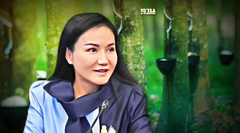 ผู้แทนการค้าไทย มั่นใจยางพารา ไม่ติดปัญหา กม. EUDR