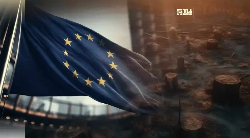 ส่องโอกาส-ผลกระทบไทย เมื่อ EU ห้ามนำเข้าสินค้าจากการตัดไม้ทำลายป่า ส่องโอกาส-ผลกระทบไทย เมื่อ EU ห้ามนำเข้าสินค้าจากการตัดไม้ทำลายป่า