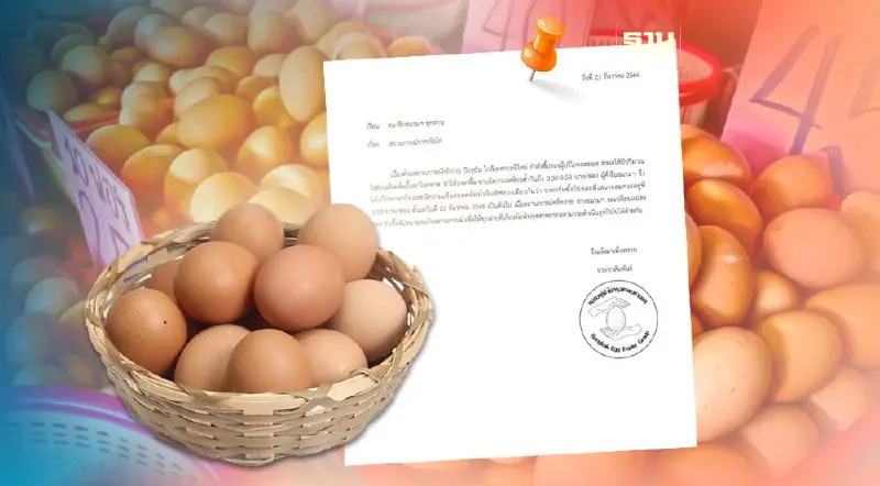 เฮ ไข่ไก่ ปรับราคาลง 3.50 บาทต่อฟอง หรือ แผงละ 3 บาท