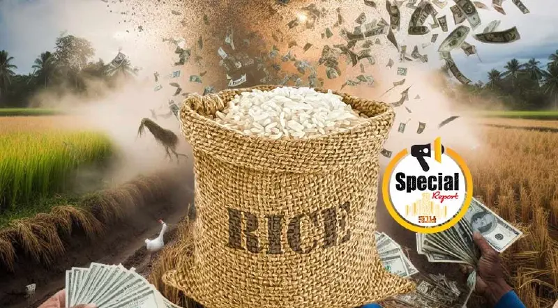 เบื้องลึกค่าอุปถัมภ์ การเมืองหลังม่านเวทีประกวดข้าวโลก