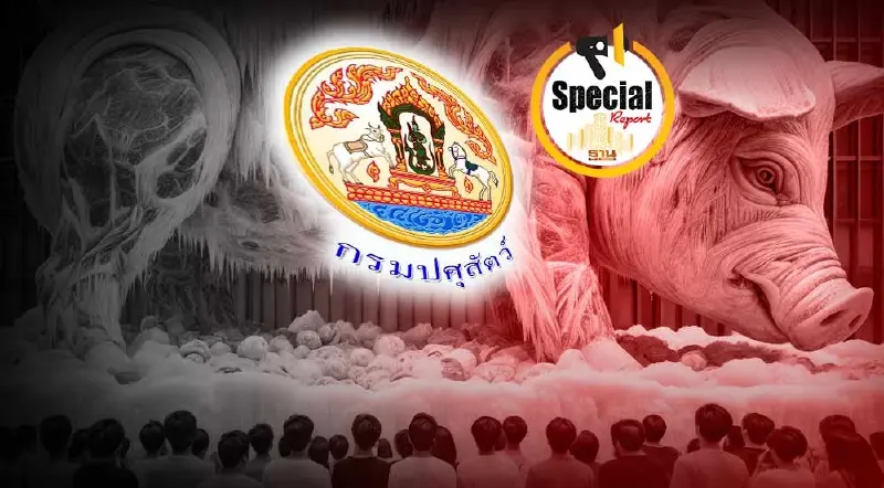 ไทม์ไลน์ บ.สมายล์ ท็อป เค โดน กรมปศุสัตว์ อายัด ทำลายซาก "มันสุกรแช่แข็ง"
