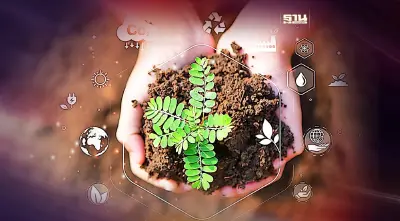 5 วิธีเฉลิมฉลอง วันดินโลก 2566 Word Soil Day 5 ธันวาคม