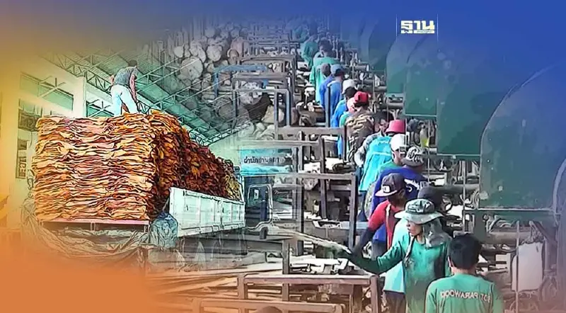 ผู้ประกอบการ"ตรัง"หวั่นขึ้นค่าแรงกระทบธุรกิจ วอนรัฐช่วยหาทางออก