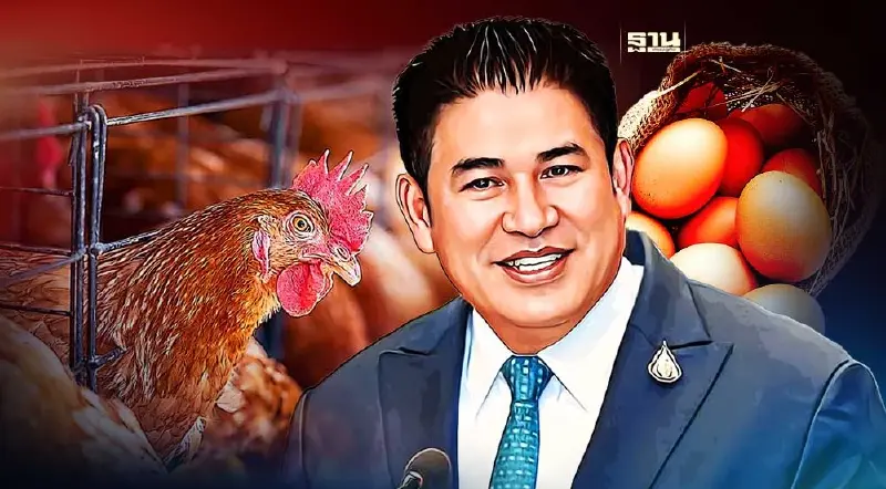 "เอ้กบอร์ด" ไฟเขียวแผนนำเข้าพ่อแม่-ปู่ย่า พันธุ์ไก่ไข่ ปี 2567