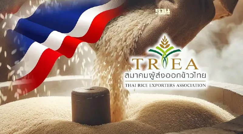 สมาคมผู้ส่งออกข้าวไทย แจงปม “ประเทศไทย” พลาดแชมป์ข้าวโลก