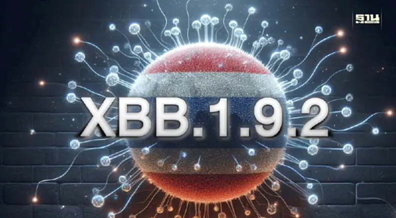โควิด-19 สายพันธุ์ XBB.1.9.2 ระบาดในไทย 24.5% โควิด-19 สายพันธุ์ XBB.1.9.2 ระบาดในไทย 24.5%