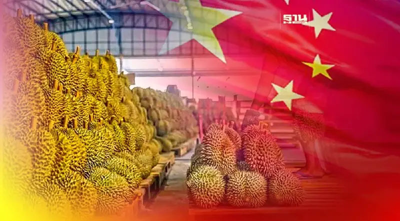 ผู้แทนการค้าไทย เผยรัฐวิสาหกิจจีน สนใจนำเข้าทุเรียนไทย มูลค่า 1.5 หมื่นล้าน