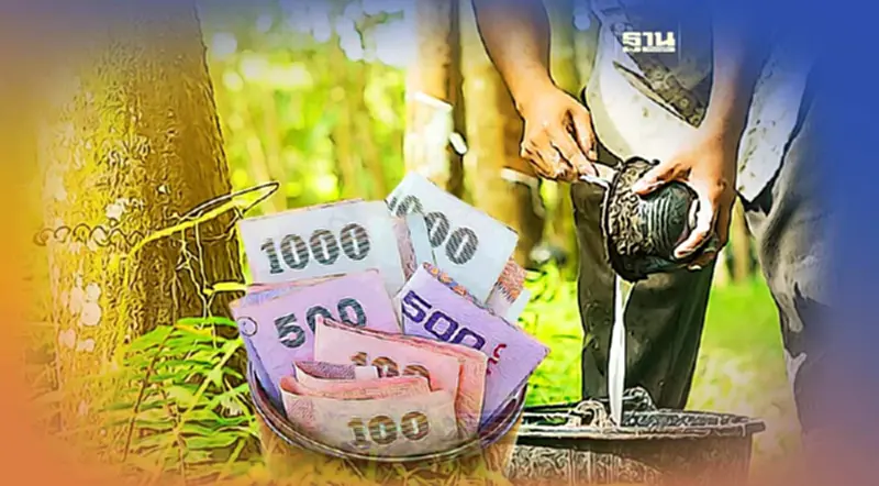 รัฐบาลดัน "โฉนดต้นไม้" ยางพารามูลค่าต้นละไม่ต่ำกว่า 500 บาท รัฐบาลดัน "โฉนดต้นไม้" ยางพารามูลค่าต้นละไม่ต่ำกว่า 500 บาท