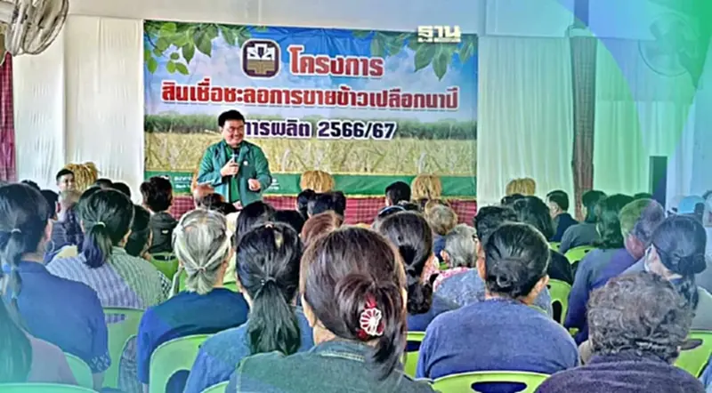 ธ.ก.ส. เร่งขับเคลื่อนมาตรการพยุงราคาข้าว ดูแลเกษตรกรกว่า 1 ล้านราย ธ.ก.ส. เร่งขับเคลื่อนมาตรการพยุงราคาข้าว ดูแลเกษตรกรกว่า 1 ล้านราย