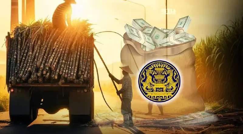 ครม.ไฟเขียวจัดงบจ่าย "เงินสนับสนุนตัดอ้อยสด" ตันละ 120 บาท