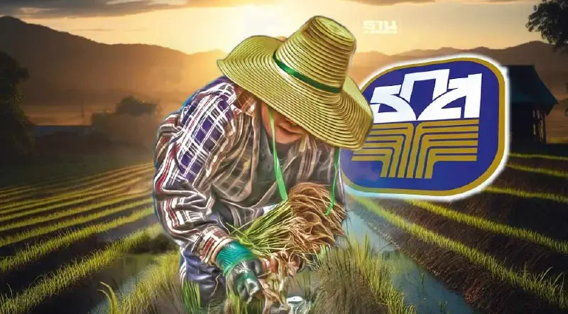 ธ.ก.ส. โอนเงินไร่ละ 1,000 ช่วยชาวนาอีก 6.1 พันล้านบาท