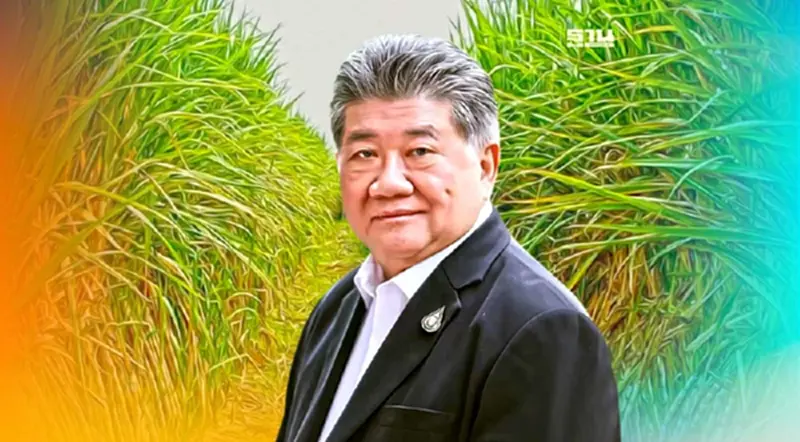 "พาณิชย์"จ่อชงครม.จ่ายเงินคืนค่าตัดอ้อยสดชาวไร่อ้อยช่วยลด PM 2.5 "พาณิชย์"จ่อชงครม.จ่ายเงินคืนค่าตัดอ้อยสดชาวไร่อ้อยช่วยลด PM 2.5