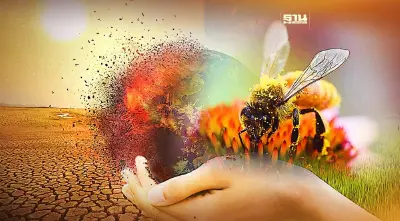 นักวิทยาศาสตร์ชี้ ภาวะโลกร้อนส่งกระทบแมลงผสมเกสร ลดทอนผลผลิตการเกษตร