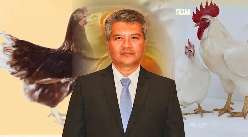 "มานิจฟาร์ม” ลุยระดมทุนพันล้าน ผลิต GP-PS ไก่ไข่- ไก่เนื้อ ส่งออก 5 ประเทศ