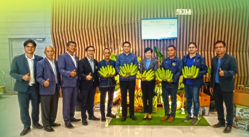 กล้วยหอมทองโคราช โกอินเตอร์ ญี่ปุ่นสั่งซื้อ 5พันตัน  ค่ากว่า 100 ล้าน