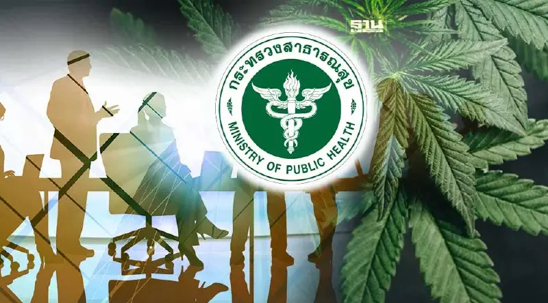 สาธารณสุข เปิดเวทีรับฟังความเห็น ร่าง พ.ร.บ.กัญชา กัญชงฯ 12 ม.ค.นี้